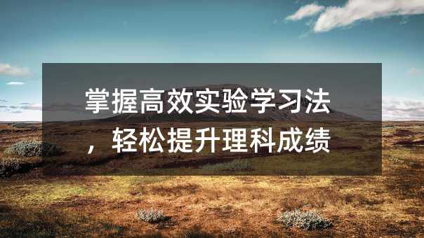 ���ո�Ч���W�������p���������Ƴɿ�