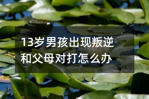 13�q�к����F����͸�ĸ������ô�k