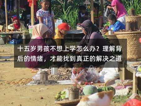 ʮ��q�к������όW(xu��)��ô�k�����ⱳ�����w�������ҵ������Ľ�Q֮��