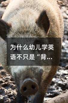 為什么幼兒學(xué)英語不只是“背單詞”?這些你可能沒想過的益處才真正影響孩子一生