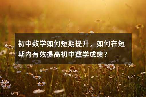 初中數學如何短期提升,如何在短期內有效提高初中數學成績?