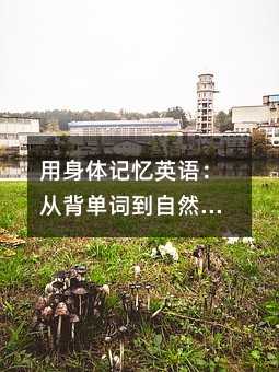 用身體記憶英語:從背單詞到自然表達(dá)的深度學(xué)習(xí)法