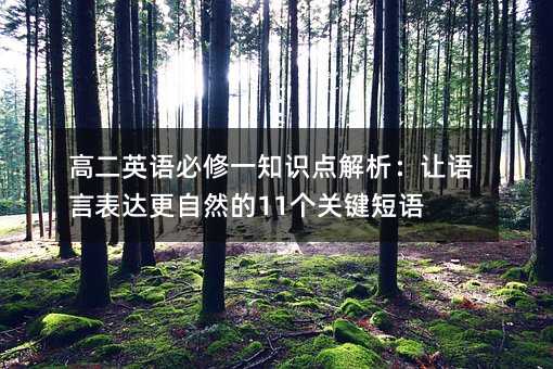 高二英語必修一知識點解析:讓語言表達更自然的11個關鍵短語