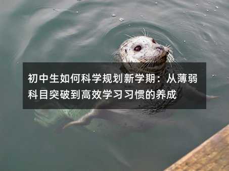 ��������οƌWҎ���W�ڣ��ı�����Ŀͻ�Ƶ���Ч�W�����T���B��