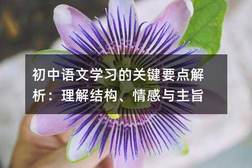 �����Z�ČW�����P�IҪ�c����������Y��������c��ּ