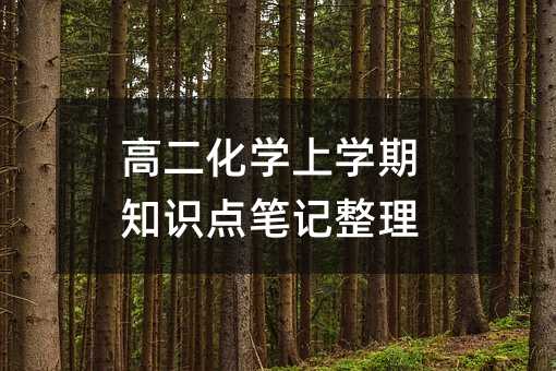 高二化學上學期知識點筆記整理