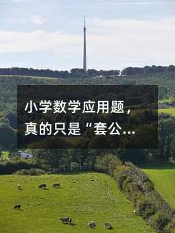 С�W���W�����}�����ֻ�ǡ��׹�ʽ���᣿�҂�����һֱ�����e��