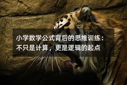 С�W(xu��)��(sh��)�W(xu��)��ʽ�����˼�SӖ(x��n)������ֻ��Ӌ(j��)�㣬����߉݋�����c(di��n)