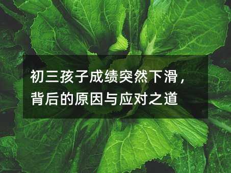 �������ӳɿ�ͻȻ�»��������ԭ���c����֮��