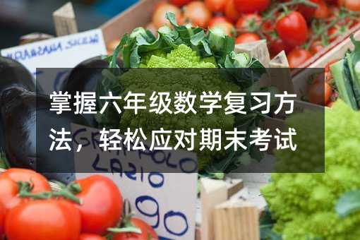 �������꼉���W�����������p�ɑ�����ĩ��ԇ