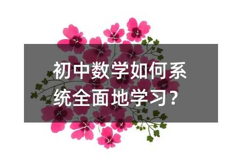 初中數學如何系統全面地學習?