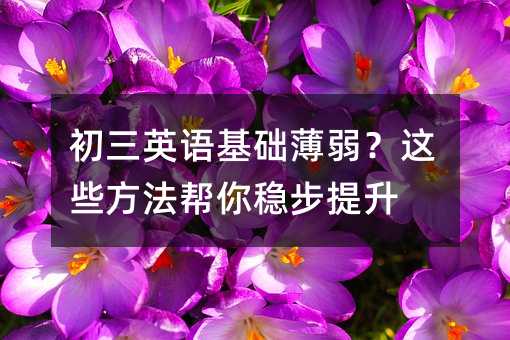 ����Ӣ�Z���A�������@Щ�������㷀������