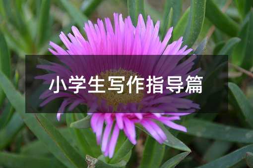 С�W������ָ��ƪ