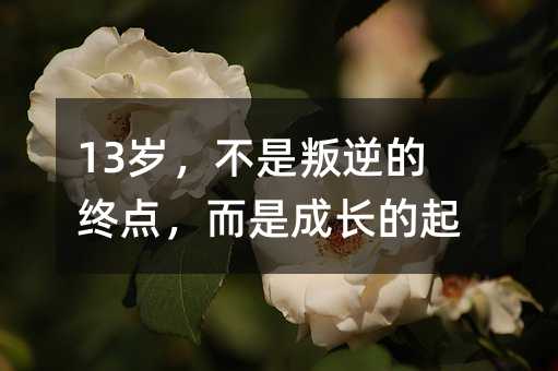 13�q����������ĽK�c�����ǳ��L�����c