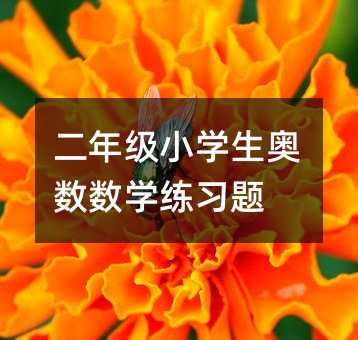 二年級小學(xué)生奧數(shù)數(shù)學(xué)練習(xí)題