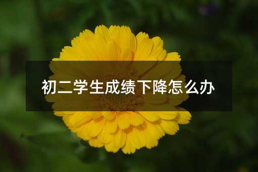 �����W���ɿ��½���ô�k