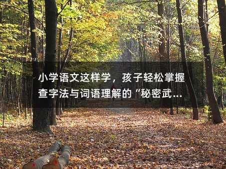 小學(xué)語文這樣學(xué),孩子輕松掌握查字法與詞語理解的“秘密武器”