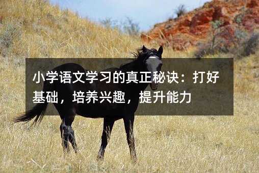 小學(xué)語文學(xué)習(xí)的真正秘訣:打好基礎(chǔ),培養(yǎng)興趣,提升能力