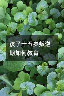 ����ʮ��q��������ν���