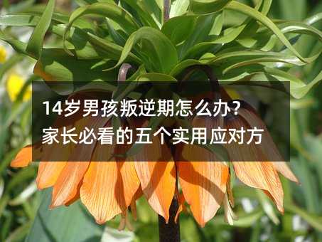 14�q�к���������ô�k�����L�ؿ����傀���Ñ�(y��ng)������