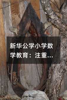 新華公學小學數學教育:注重思維培養與全面發展的探索
