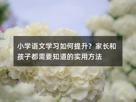 小學(xué)語文學(xué)習(xí)如何提升?家長和孩子都需要知道的實用方法