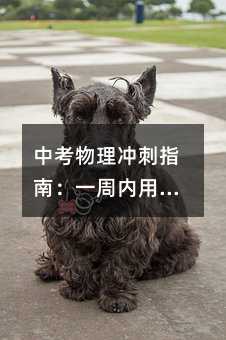 �п�����_��ָ�ϣ�һ�܃�(n��i)���n��+�e�}���F(xi��n)��Ч��(f��)��(x��)