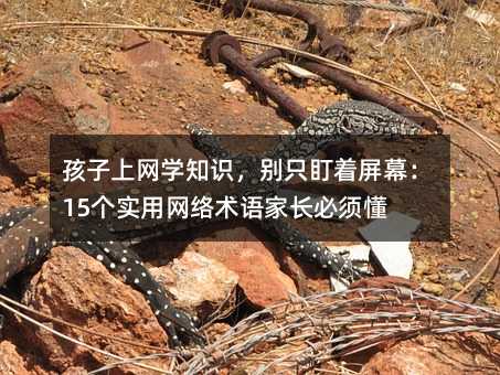 �����ϾW�W֪�R���eֻ������Ļ��15�����þW�j�g�Z���L��횶�