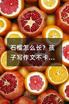 ʯ����ô�L(zh��ng)�����ӌ����Ĳ���������һ�Ø�(sh��)�_(k��i)ʼ