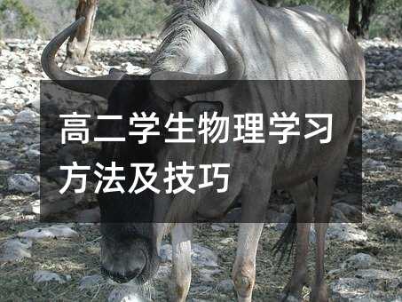 高二學生物理學習方法及技巧