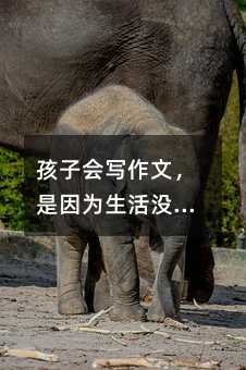 ���ӕ������ģ����������]���P�ڽ�����