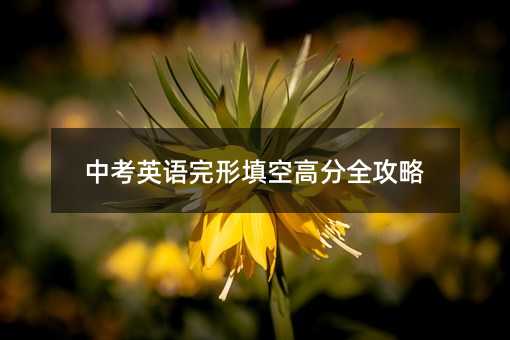 中考英語完形填空高分全攻略
