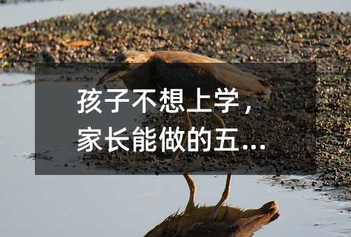 ���Ӳ����όW(xu��)�����L�����������