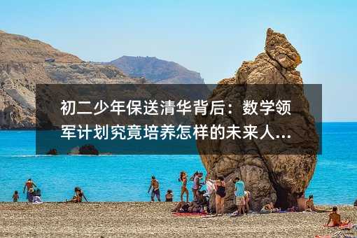 初二少年保送清華背后:數(shù)學領軍計劃究竟培養(yǎng)怎樣的未來人才?