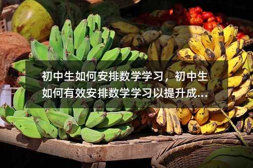 ��������ΰ��Ŕ�(sh��)�W(xu��)�W(xu��)��(x��)�������������Ч���Ŕ�(sh��)�W(xu��)�W(xu��)��(x��)�������ɿ�(j��)��