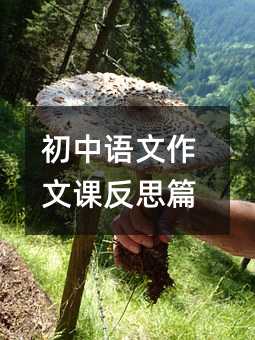 �����Z�������n��˼ƪ