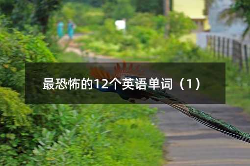 ��ֲ���12��Ӣ�Z���~��1��