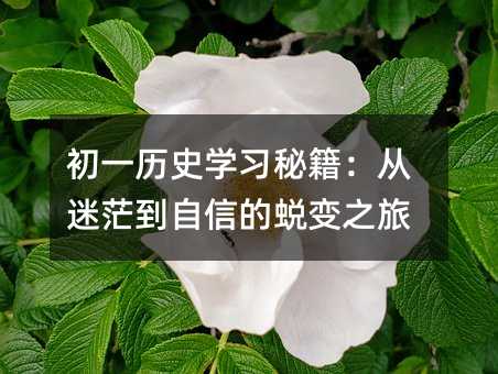 初一歷史學習秘籍:從迷茫到自信的蛻變之旅