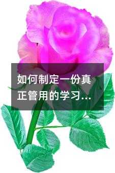 如何制定一份真正管用的學(xué)習(xí)計劃