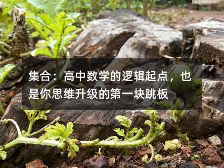 集合:高中數(shù)學(xué)的邏輯起點(diǎn),也是你思維升級(jí)的第一塊跳板