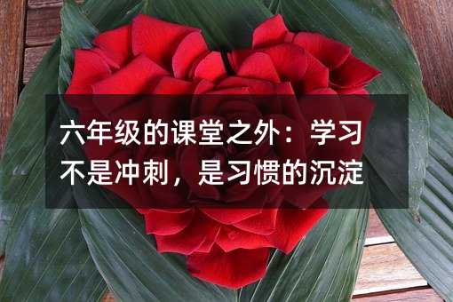 六年級(jí)的課堂之外:學(xué)習(xí)不是沖刺,是習(xí)慣的沉淀