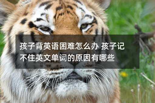 孩子背英語困難怎么辦 孩子記不住英文單詞的原因有哪些