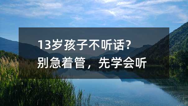 13�q���Ӳ� Ԓ���e�����ܣ��ȌW�� 