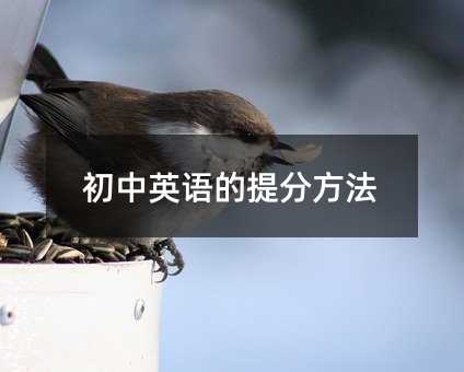 ����Ӣ�Z����ַ���