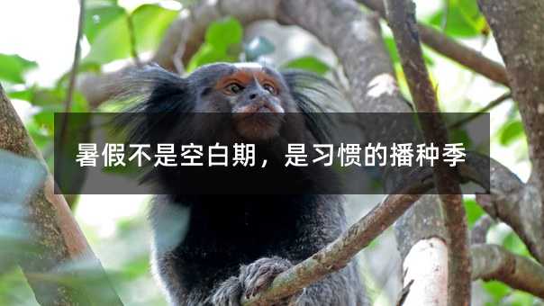 ��ٲ��ǿհ��ڣ�����(x��)�T�Ĳ��N��