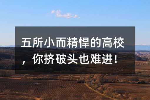 五所小而精悍的高校,你擠破頭也難進!