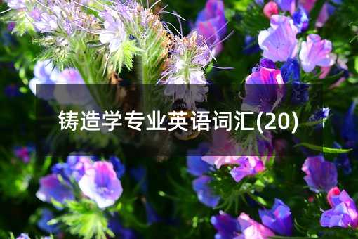 鑄造學專業英語詞匯(20)