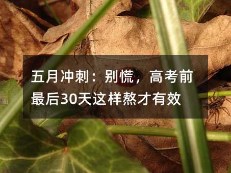 ���_�̣��e�ţ��߿�ǰ���30���@�Ӱ�����Ч