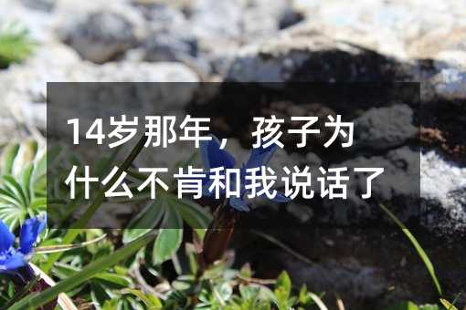 14�q���������Ӟ�ʲô���Ϻ����fԒ��