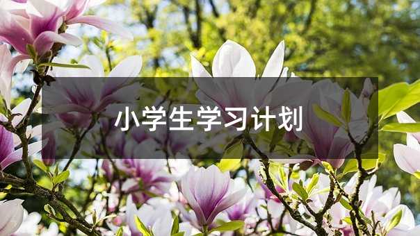 小學(xué)生學(xué)習(xí)計劃